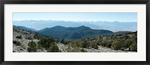 Framed Mountain range, White Mountains, Eastern Sierra, Bishop, Inyo County, California, USA Print