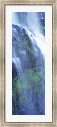 Framed Waterfall in a forest, Proxy Falls, Three Sisters Wilderness Area, Willamette National Forest, Lane County, Oregon Print