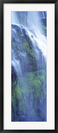 Framed Waterfall in a forest, Proxy Falls, Three Sisters Wilderness Area, Willamette National Forest, Lane County, Oregon Print