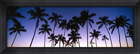 Framed Silhouettes of palm trees at sunset Print