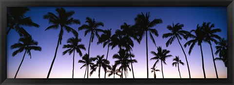 Framed Silhouettes of palm trees at sunset Print