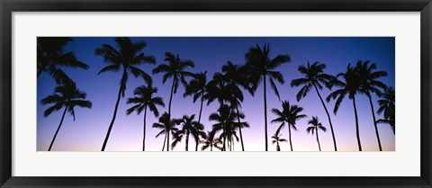 Framed Silhouettes of palm trees at sunset Print