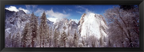 Framed Snowy trees with rocks in winter, Cathedral Rocks, Yosemite National Park, California, USA Print