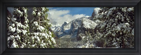 Framed Snowy trees in winter, Yosemite Valley, Yosemite National Park, California, USA Print