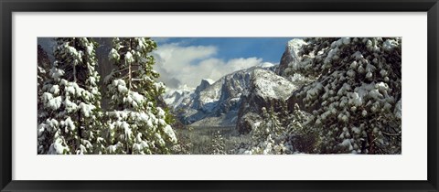 Framed Snowy trees in winter, Yosemite Valley, Yosemite National Park, California, USA Print