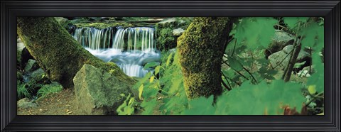 Framed Waterfall in a forest Print
