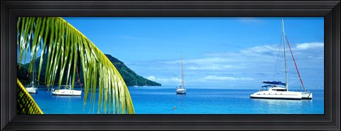 Framed Sailboats in the ocean, Tahiti, Society Islands, French Polynesia (horizontal) Print