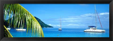 Framed Sailboats in the ocean, Tahiti, Society Islands, French Polynesia (horizontal) Print