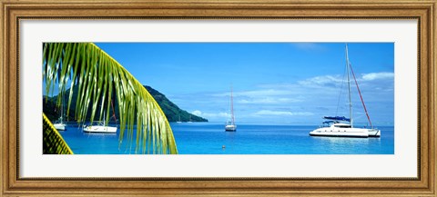 Framed Sailboats in the ocean, Tahiti, Society Islands, French Polynesia (horizontal) Print