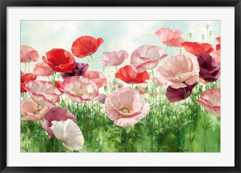 Framed Poppies Pleasure Print