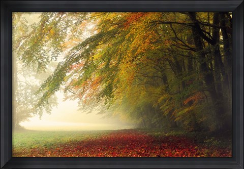 Framed Your Beauty Silences Me Print