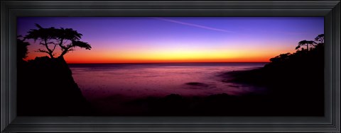 Framed Silhouette of Lone Cypress Tree on a cliff, 17-Mile Drive, Pebble Beach, Carmel, Monterey County, California, USA Print