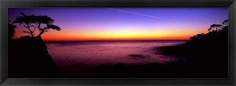 Framed Silhouette of Lone Cypress Tree on a cliff, 17-Mile Drive, Pebble Beach, Carmel, Monterey County, California, USA Print