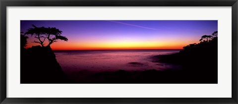 Framed Silhouette of Lone Cypress Tree on a cliff, 17-Mile Drive, Pebble Beach, Carmel, Monterey County, California, USA Print