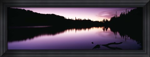 Framed Reflection of trees in a lake, Mt Rainier National Park, Washington State Print
