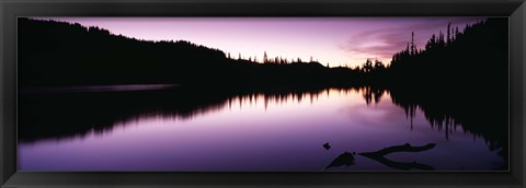 Framed Reflection of trees in a lake, Mt Rainier National Park, Washington State Print