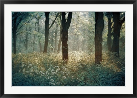 Framed Foret de Tenom Print