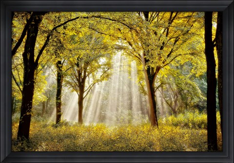 Framed Dressed to Shine X Print