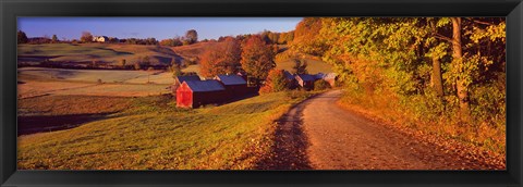 Framed Farmhouse beside a country road, Jenne Farm, Vermont, New England, USA Print