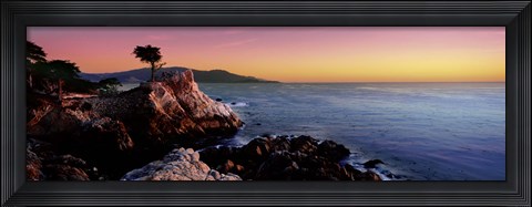 Framed Silhouette of Lone Cypress Tree at a coast, 17-Mile Drive, Carmel, Monterey County, California, USA Print