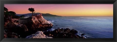 Framed Silhouette of Lone Cypress Tree at a coast, 17-Mile Drive, Carmel, Monterey County, California, USA Print