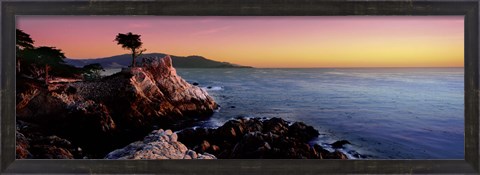 Framed Silhouette of Lone Cypress Tree at a coast, 17-Mile Drive, Carmel, Monterey County, California, USA Print