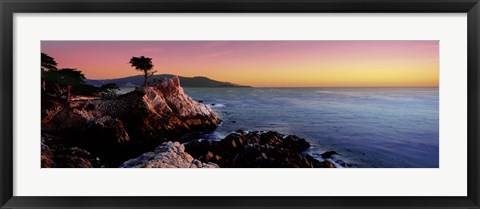 Framed Silhouette of Lone Cypress Tree at a coast, 17-Mile Drive, Carmel, Monterey County, California, USA Print