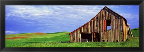 Framed Dilapidated barn in a farm, Palouse, Whitman County, Washington State, USA Print