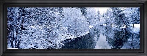 Framed Snow covered trees along a river, Yosemite National Park, California, USA Print