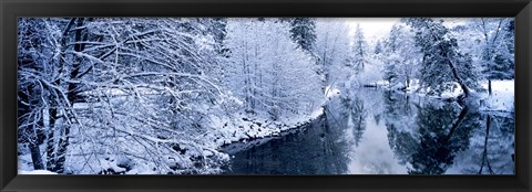 Framed Snow covered trees along a river, Yosemite National Park, California, USA Print