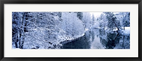 Framed Snow covered trees along a river, Yosemite National Park, California, USA Print