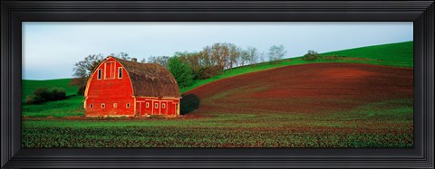 Framed Red Barn in a Field at Sunset, Washington State, USA Print