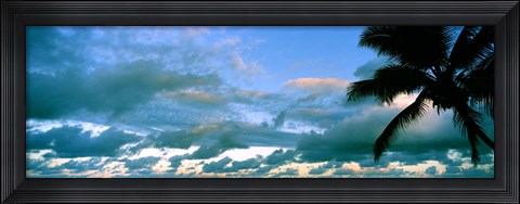 Framed Palm tree on the beach, Hawaii, USA Print