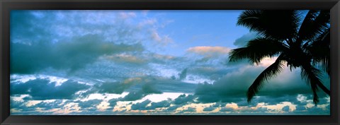 Framed Palm tree on the beach, Hawaii, USA Print