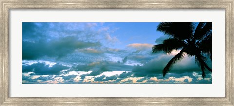 Framed Palm tree on the beach, Hawaii, USA Print