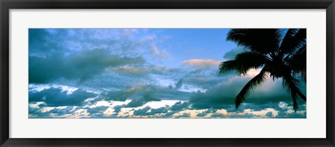 Framed Palm tree on the beach, Hawaii, USA Print