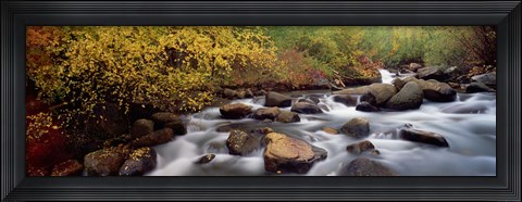 Framed Stream flowing through a forest, Inyo County, California, USA Print