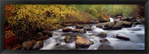 Framed Stream flowing through a forest, Inyo County, California, USA Print