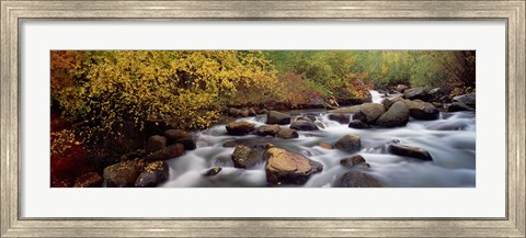 Framed Stream flowing through a forest, Inyo County, California, USA Print