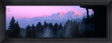 Framed Trees with snow covered mountains at sunset in winter, Combloux, Mont Blanc Massif, Haute-Savoie, Rhone-Alpes, France Print