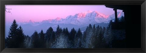 Framed Trees with snow covered mountains at sunset in winter, Combloux, Mont Blanc Massif, Haute-Savoie, Rhone-Alpes, France Print