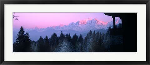 Framed Trees with snow covered mountains at sunset in winter, Combloux, Mont Blanc Massif, Haute-Savoie, Rhone-Alpes, France Print