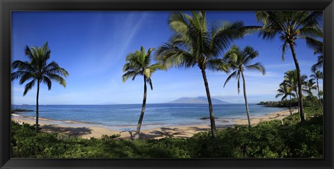 Framed Palm trees on the beach, Maui, Hawaii, USA Print