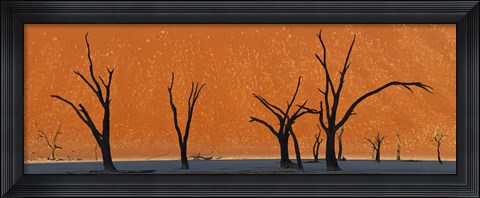 Framed Dead trees by red sand dunes, Dead Vlei, Namib-Naukluft National Park, Namibia Print