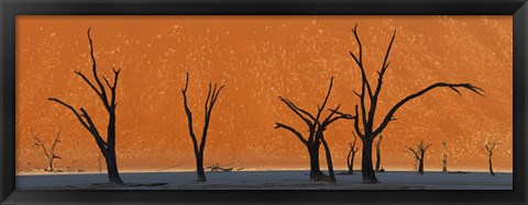 Framed Dead trees by red sand dunes, Dead Vlei, Namib-Naukluft National Park, Namibia Print