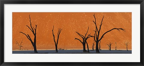 Framed Dead trees by red sand dunes, Dead Vlei, Namib-Naukluft National Park, Namibia Print