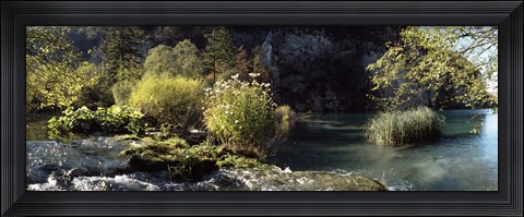 Framed Trees and plants at the lakeside, Plitvice Lake, Plitvice Lakes National Park, Croatia Print