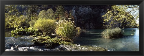 Framed Trees and plants at the lakeside, Plitvice Lake, Plitvice Lakes National Park, Croatia Print