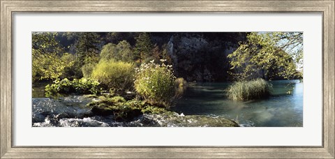 Framed Trees and plants at the lakeside, Plitvice Lake, Plitvice Lakes National Park, Croatia Print