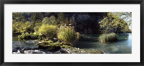 Framed Trees and plants at the lakeside, Plitvice Lake, Plitvice Lakes National Park, Croatia Print